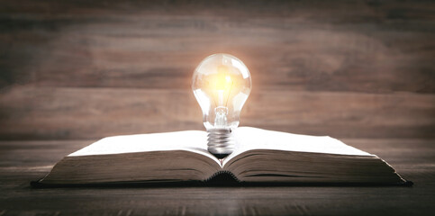 light bulb and book. knowledge and wisdom
