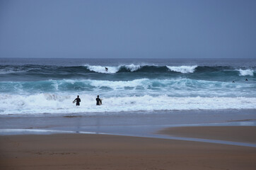 Canvas Print - Surfers on the Algarve coast. Praia do Beliche. Sagres, Portugal.