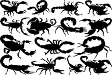 Scorpion SVG Cut Files | Scorpion Silhouette | Scorpion Animal Svg | Skorpion Svg | Scorpio Svg | Animal Svg | Scorpion Bundle
