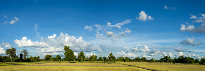 Wall Mural - Panorama photos nature sky background daytime sky with clouds in the rainy season over the field