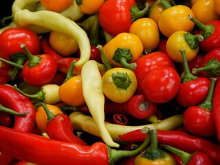 Wall Mural - various,multicolor fruits of pepper vegetable for cooking or salads close up