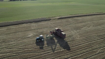 Wall Mural - aerial tracking shot of harvester fills carts with grain agriculture
