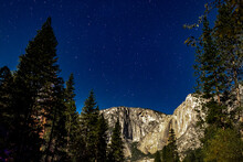Green Pine Trees Near Rocky Mountain During Night Time In Yosemite