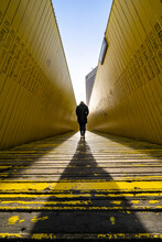 Person Walking On Yellow Wooden Pathway