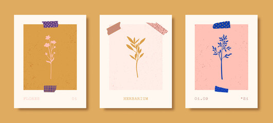 Wall Mural - set of abstract floral posters in contemporary style. vector botanical backgrounds in pastel colors.
