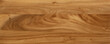 Elm wood plank texture, wood plank texture background.