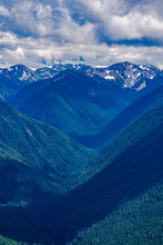 A Tree Covered Valley And Snow Capped Mountains In The Clouds  In Olympic National Park 