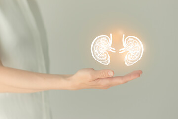 Wall Mural - Woman in white clothes holding virtual kidneys in hand. Handrawn human organ, detox and healthcare, healthcare hospital service concept stock photo