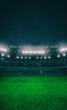 Stadium building full of spectators expecting an evening match on the grass field. High format for social network banners or posters. Sport building 3D professional background illustration.