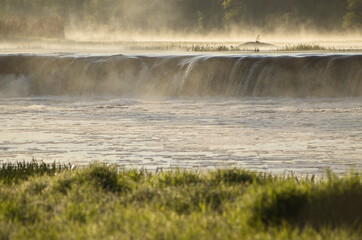 Poster - River Venta waterfall in sunny, misty spring morning, Kuldiga, Latvia.