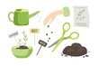 Growing plants at home set. Seed for planting pack, seeds, fresh little plants in pot, watering can, scissors, soil. Floristry and gardening. Agricultural plant at home.