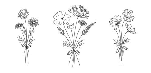 Wall Mural - Wildflower line art bouquets set. Hand drawn chamomile, cosmea, poppy, other wild plants. Meadow flowers, herbs for design projects. Vector illustration.