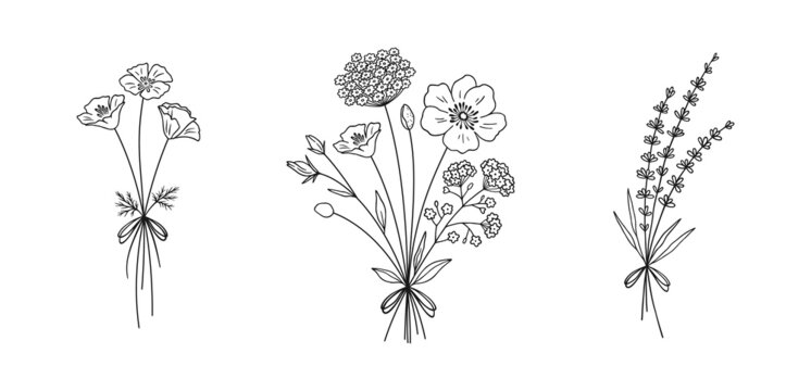 Wildflower line art bouquets set. Hand drawn poppy, lavender, other wild plants. Meadow flowers, herbs for design projects. Vector illustration.