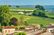 Vineyards on the hills of Saint-Emilion, Gironde, Nouvelle Aquitaine, France