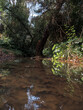 © Marlon - stream in the forest