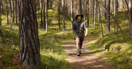 Wall Mural - park ranger or forester on the forest walk