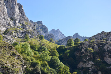 Sticker - Mountainside Picos de Europa, Asturias, Cantabria, Northern Spain.