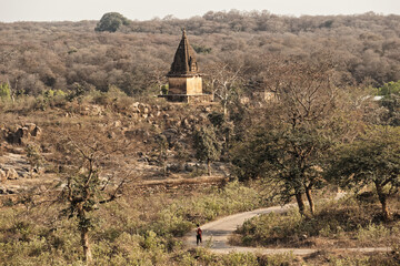 Poster - A winding road passing through ruins of ancient temples in the wild countryside around Orchha in Madhya Pradesh, India.