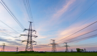 power lines in the spring in a green wheat field