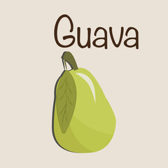 Guava in a flat style. Guava fruit logo vector template. Guava icon. Summer tropical fruits. Vector illustration