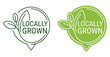 Locally grown flat emblem in pin form