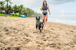 © Jovo Jovanovic/Stocksy - Cute little terrier puppy bringing back ball to owner