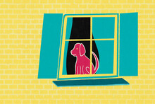 Pet Dog In Window