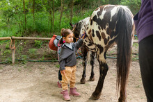 Little Girl Caressing A Horse