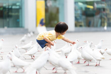 Little Girl Feeding Pigeon In The Park