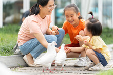 Asian Family Feeding Pigeon In The Park