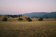 © Katie Chang/Stocksy - Santa Ynez California Golden Hills At Blue Hour