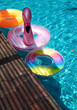 Beautiful and cute swimming ring, swimming in the pool in summer