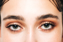 Green Eyes With Natural Eyebrows And Makeup Close Up 