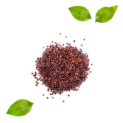 Poster - Chenopodium quinoa - Raw black quinoa seeds