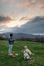 Woman Training Dogs In Nature 