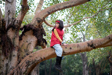 Asian Girl Sitting On A Century-old Banyan Tree
