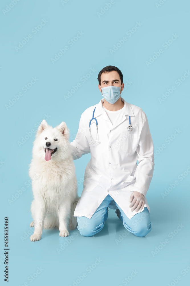 Veterinarian with cute dog on color background