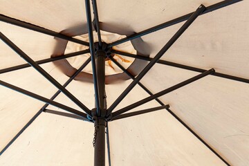 Wall Mural - Close-up light brown stem garden umbrella