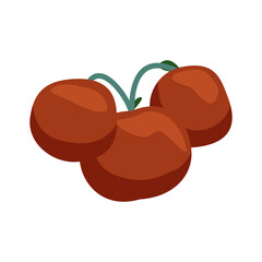 Sticker - Tomatoes Flat Illustration