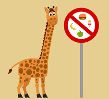Ban On Feeding Giraffes With Warning Sign On Colored Background