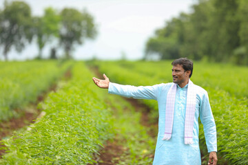 Young indian farmer standing in green pigeon pea agriculture field.