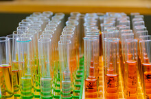 Test Tubes In Laboratory