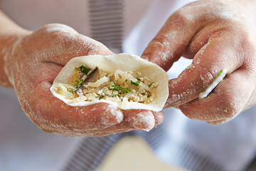 Wall Mural - Close-up of hand making dumplings