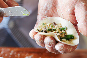 Wall Mural - Close-up of hand making dumplings