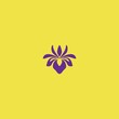 iris flower vector