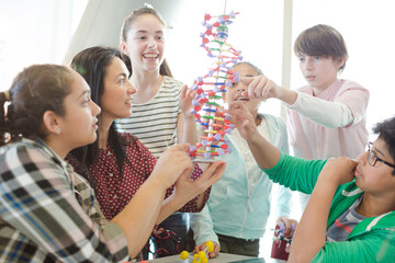 Wall Mural - female teacher and students examining dna model in classroom
