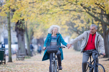 Wall Mural - Senior couple bike riding among trees and leaves in autumn park