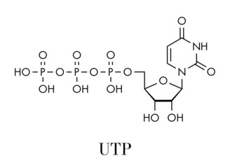 Poster - Uridine triphosphate (UTP) nucleotide molecule. Building block of RNA. Skeletal formula.