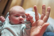 baby girl holding mother finger. Grasping reflex of newborn