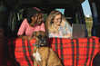 Two woman working inside a camper with a mobile phone and a laptop next to a boxer dog parked in the countryside.